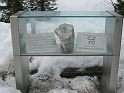 bild (33)